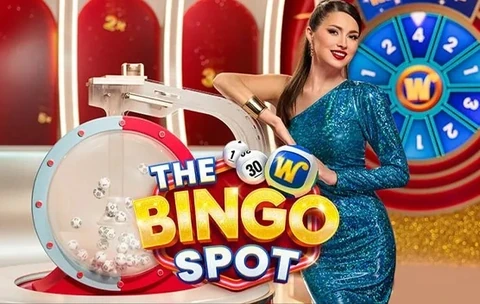 The Bingo Spot
