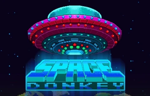 Space Donkey